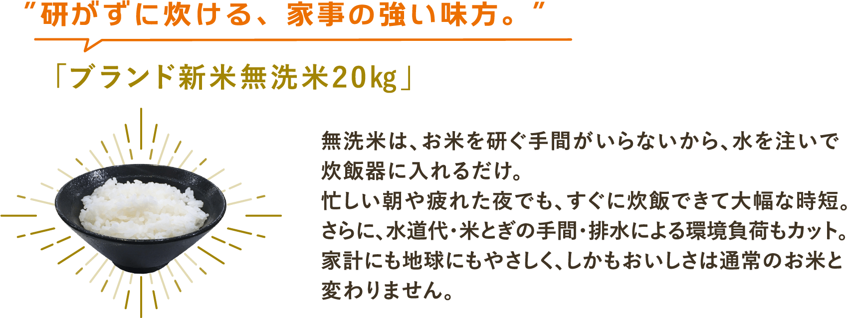 ブランド新米無洗米20kg